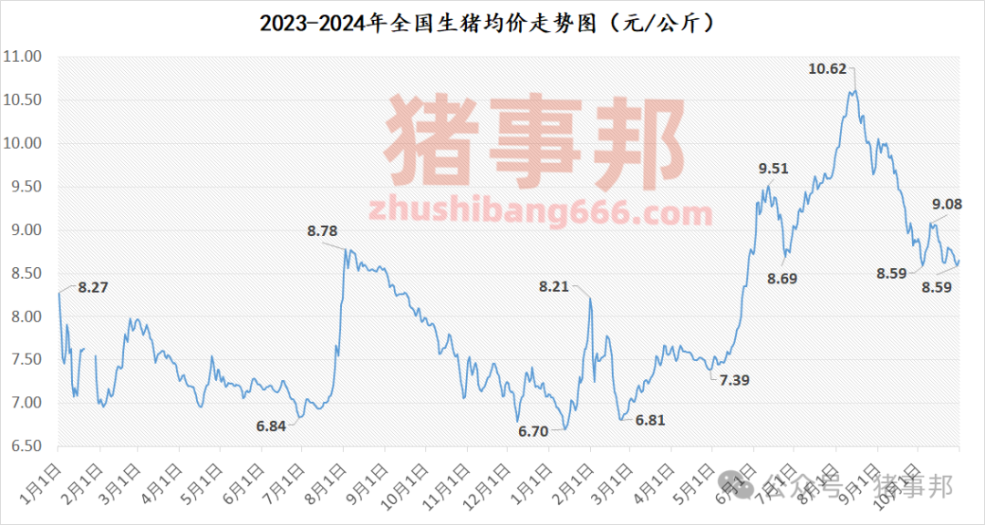 10月31日猪价汇总（多数地区反弹！）